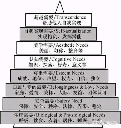 工作目的 從“止痛藥”到“保健藥”——非融資性擔保業務的雙重角色