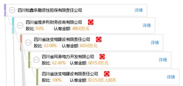 四川和鑫非融資性擔(dān)保有限責(zé)任公司 專(zhuān)注非融資性擔(dān)保業(yè)務(wù)，助力企業(yè)穩(wěn)健發(fā)展